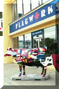 Calgary flag cow2.jpg (16374 bytes)
