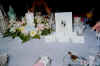 Table 8 begin.jpg (29331 bytes)