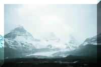 icefields in snow 2.jpg (26478 bytes)
