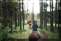 k on horse 2.jpg (56368 bytes)