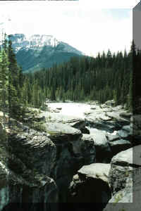 mistaya canyon.jpg (49167 bytes)