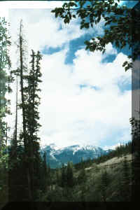 nice view.jpg (47013 bytes)