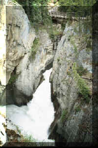 sunwapta falls.jpg (59875 bytes)