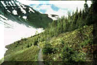 trail to top.jpg (62216 bytes)